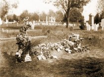 Wood(?) family plot, Mt Hebron Cemetery